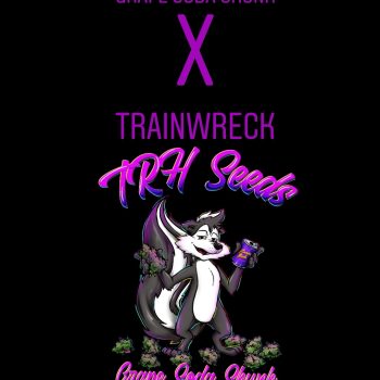 Train wreck x grape soda skunk