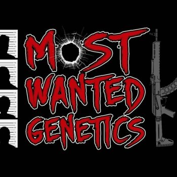 Most Wanted Genetics