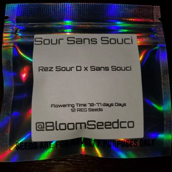 Sour San Succi By Bloom Seeds Company