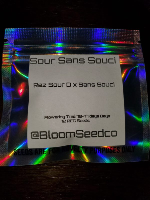 Sour San Succi By Bloom Seeds Company