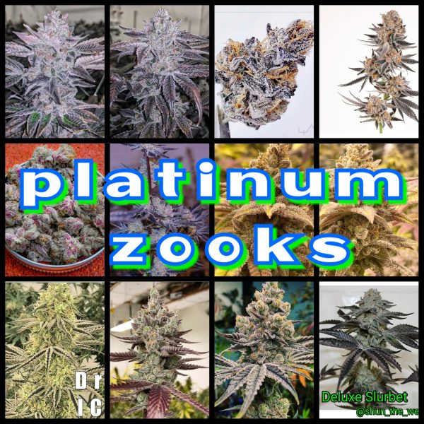 Platinum Zooks