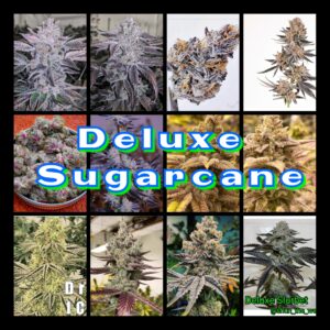 Deluxe Sugarcane