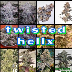 Twisted Helix