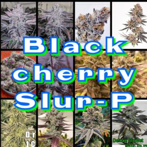 Black Cherry Slur-p