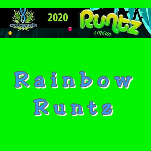 Rainbow Runtz Strain