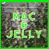 Mac N Jelly Strain