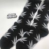 Black Cannabis Socks with white leafs