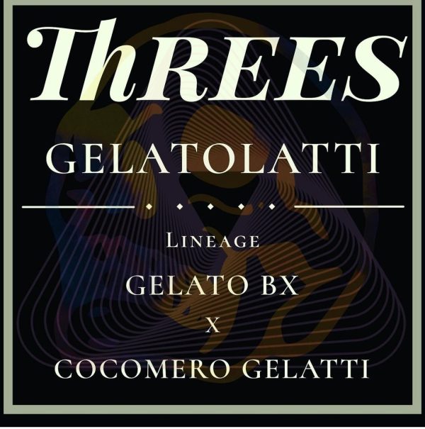 Threes Gelatolatti Strain Three Genetics Reserve