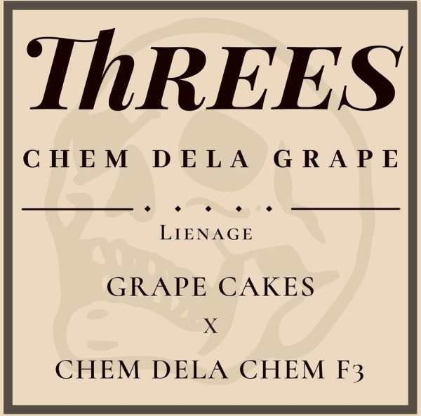 Threes Chem Dela Grape Strain Three Genetics Reserve