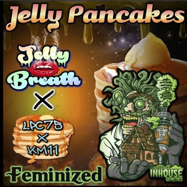 Jelly Pancakes Inhouse Genetics