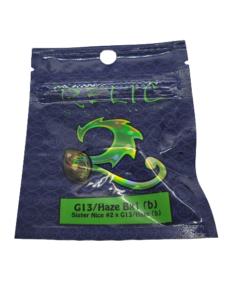 G13/Haze Bx1 (b)