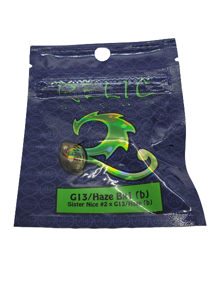 G13/Haze Bx1 (b)