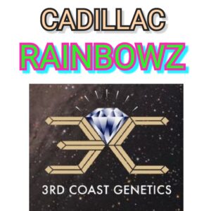 Cadillac Rainbowz - 3RD COAST GENETICS