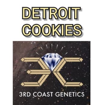 DETROIT COOKIES - 3RD COAST GENETICS