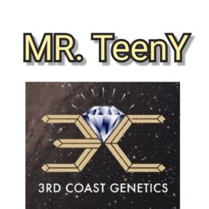 MR TEENY - 3RD COAST GENETICS