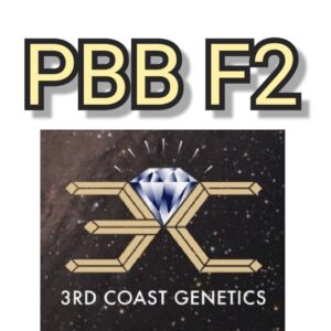 PBB F2 3rd coast genetics