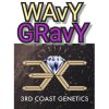 WAVY GRAVY - 3RD COAST GENETICS