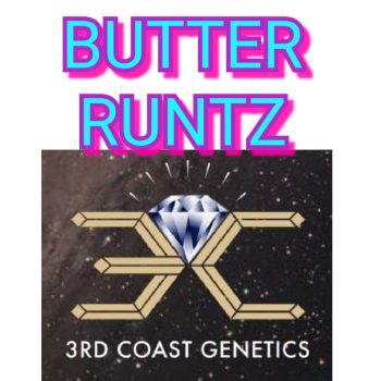 BUTTER RUNTZ - 3RD COAST GENETICS