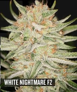 White Nightmare F2