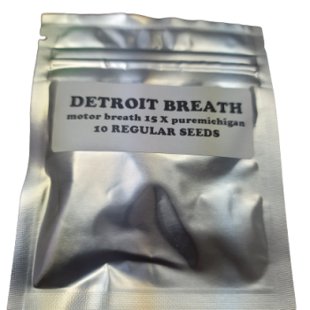 Detroit Breath 3rd coast genetics