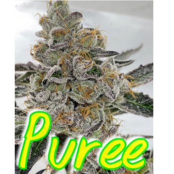 Puree Seeds