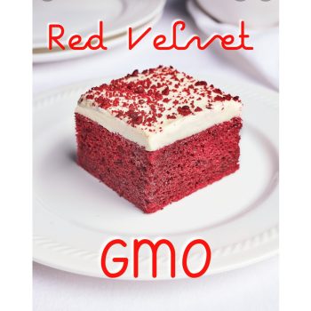 GMO x Red Velvet