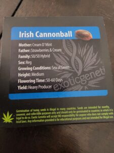irish cannonball exotic