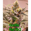 Gorilla Nut BX2 Fresh Coast Seed Co