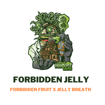 Forbidden jelly Strain