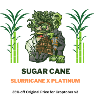 Sugar Cane Strain