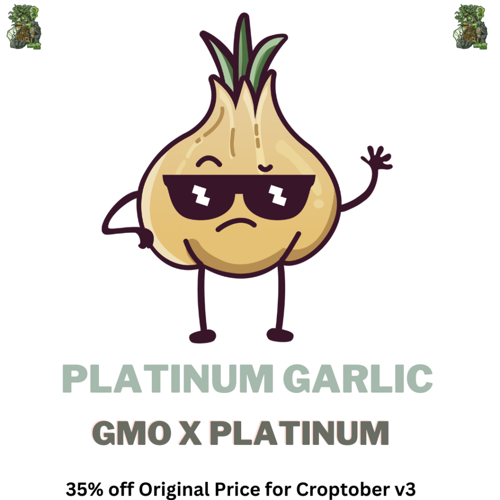 Platinum Garlic Heavily Connected Seeds