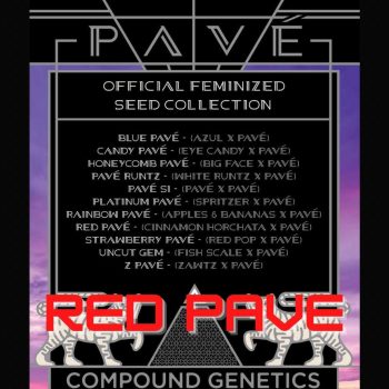 Red Pave Compound Genetics