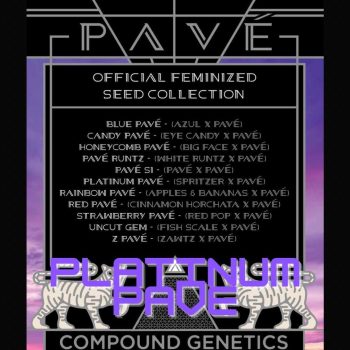 Platinum Pave Compound Genetics