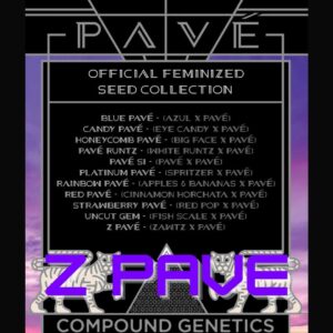 Z Pave Compound Genetics