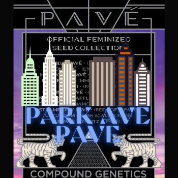 Park Ave Pave Compound Genetics