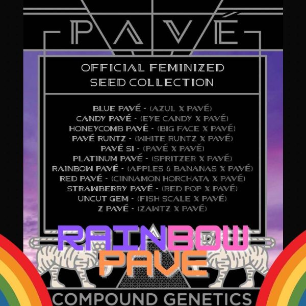 Rainbow Pave Compound Genetics