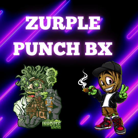 Zurple Punch BX