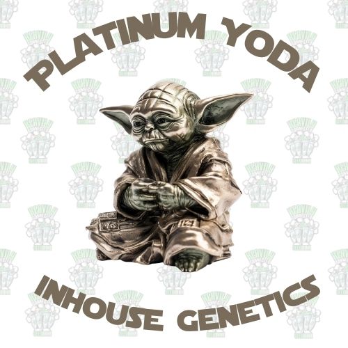 Platinum Yoda