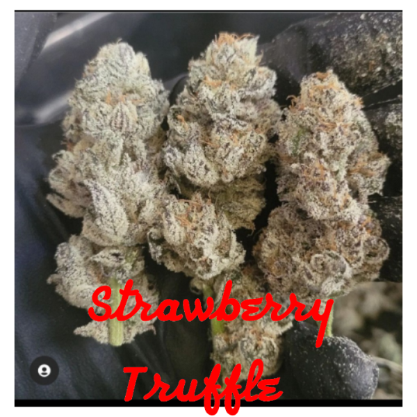 Strawberry Truffle - Detroit Seed Co