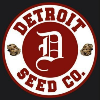 Detroit Seed Co