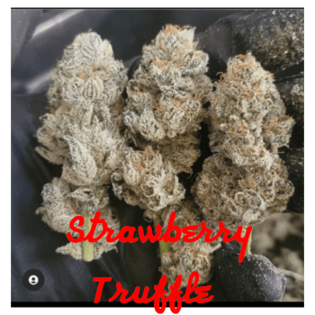 Strawberry truffle