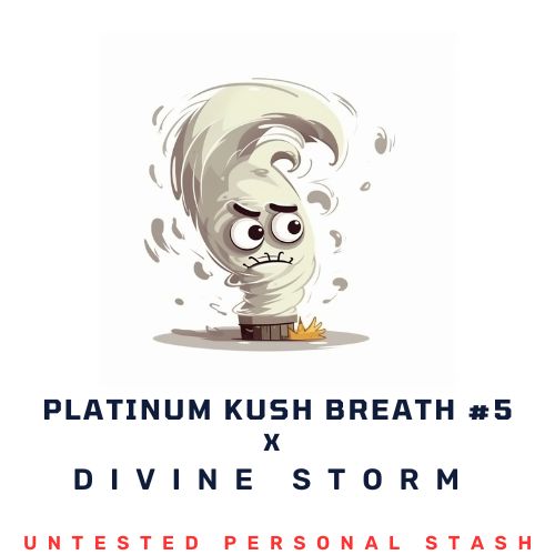 Divine Storm X Platinum Kush Breath #5
