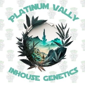 Platinum Vally Full Pack - Inhouse Genetics
