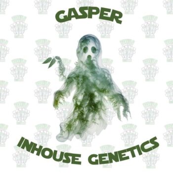 Gasper Full Pack - Inhouse Genetics