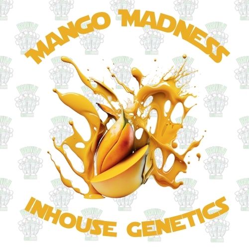 Mango Madness Full Pack - Inhouse Genetics