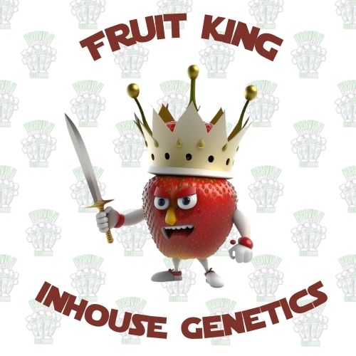 Fruit King Full Pack - Inhouse Genetics