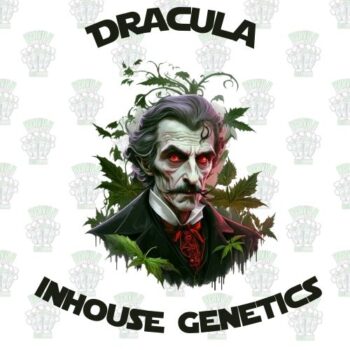 Dracula Full Pack - Inhouse Genetics