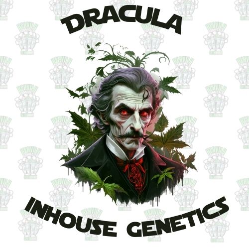 Dracula Full Pack - Inhouse Genetics