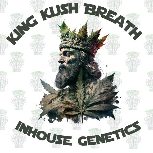 King Kush Breath Full Pack - Inhouse Genetics