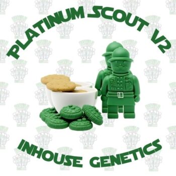 Platinum Scout V2 Full Pack - Inhouse Genetics